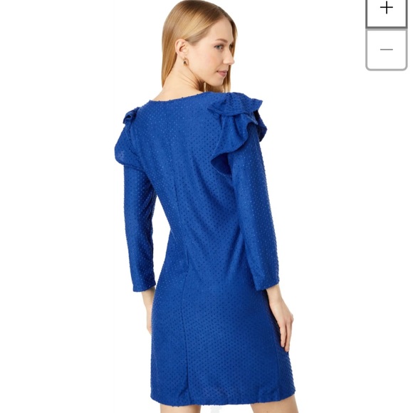 NWT Lilly Pulitzer Pheby Ruffle Swiss Dot Dress - Picture 2 of 8